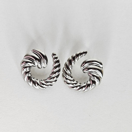 Pita Silver Stainless Steel Earrings (Aretes)
