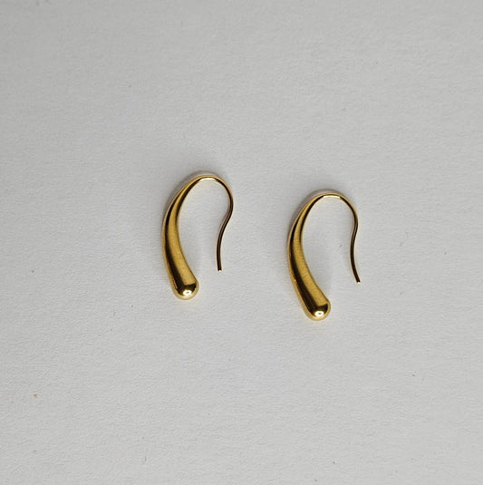 Vale Stainless Steel Earrings (Aretes)