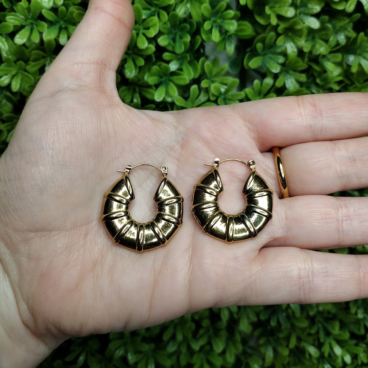 Aretes NOA