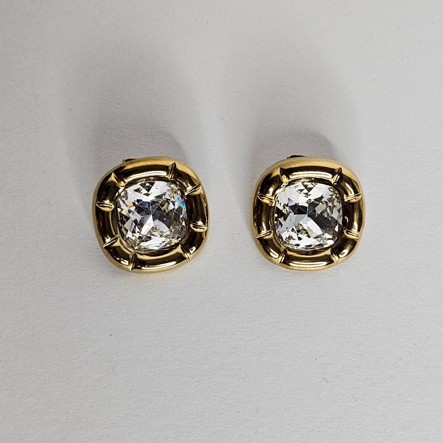 Azucena Clear Stainless Steel Earrings (Aretes)