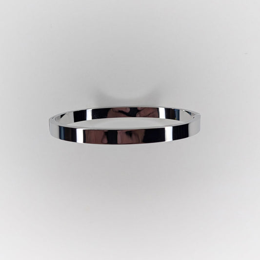 Tina Silver Stainless Steel Bangle Bracelet (Pulsera)