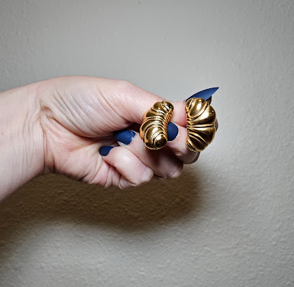 Aretes ANI